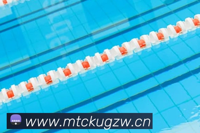 星空体育登录中心平台生态图